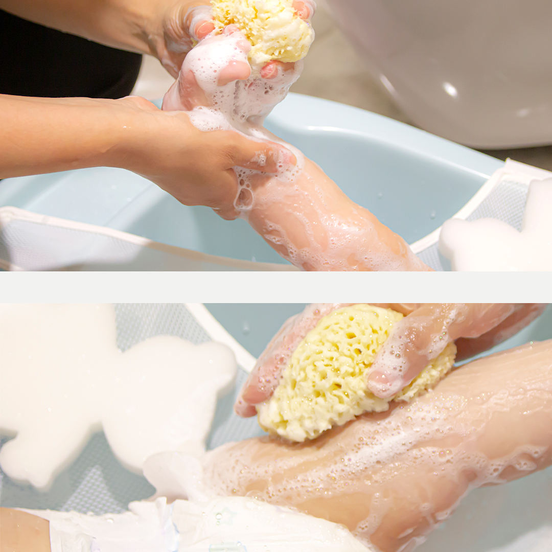 Babyjem sea sponge