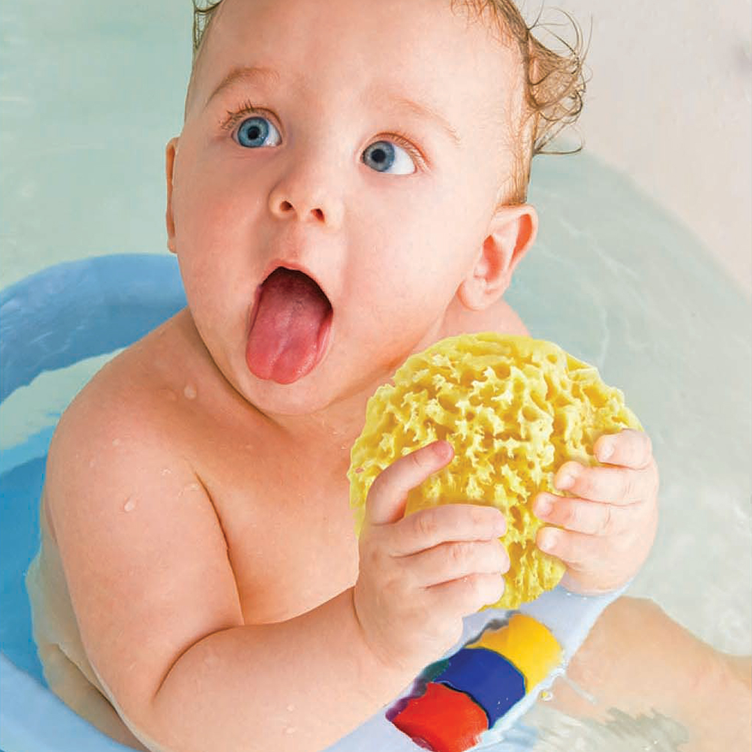 Babyjem sea sponge