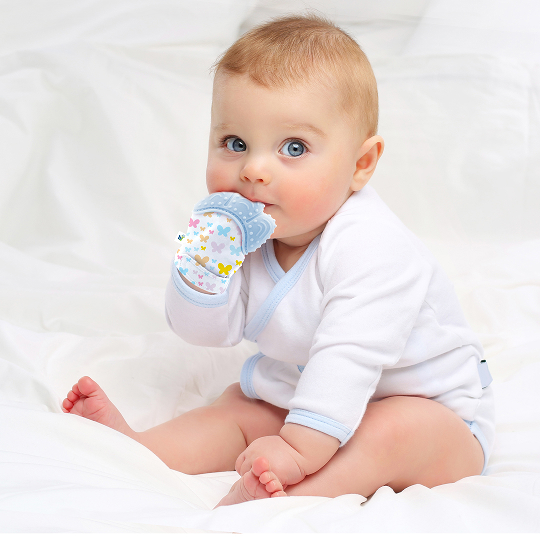 Babyjem hedgehog teether