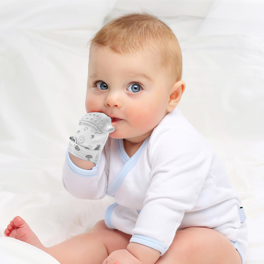 Babyjem butterly teether